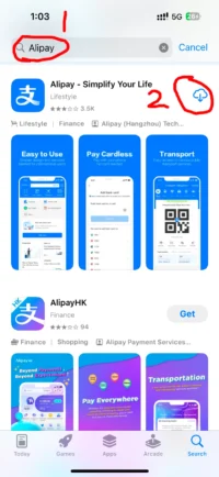 apple Alipay app 下载